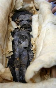 Foetus de la tombe de Toutankhamon